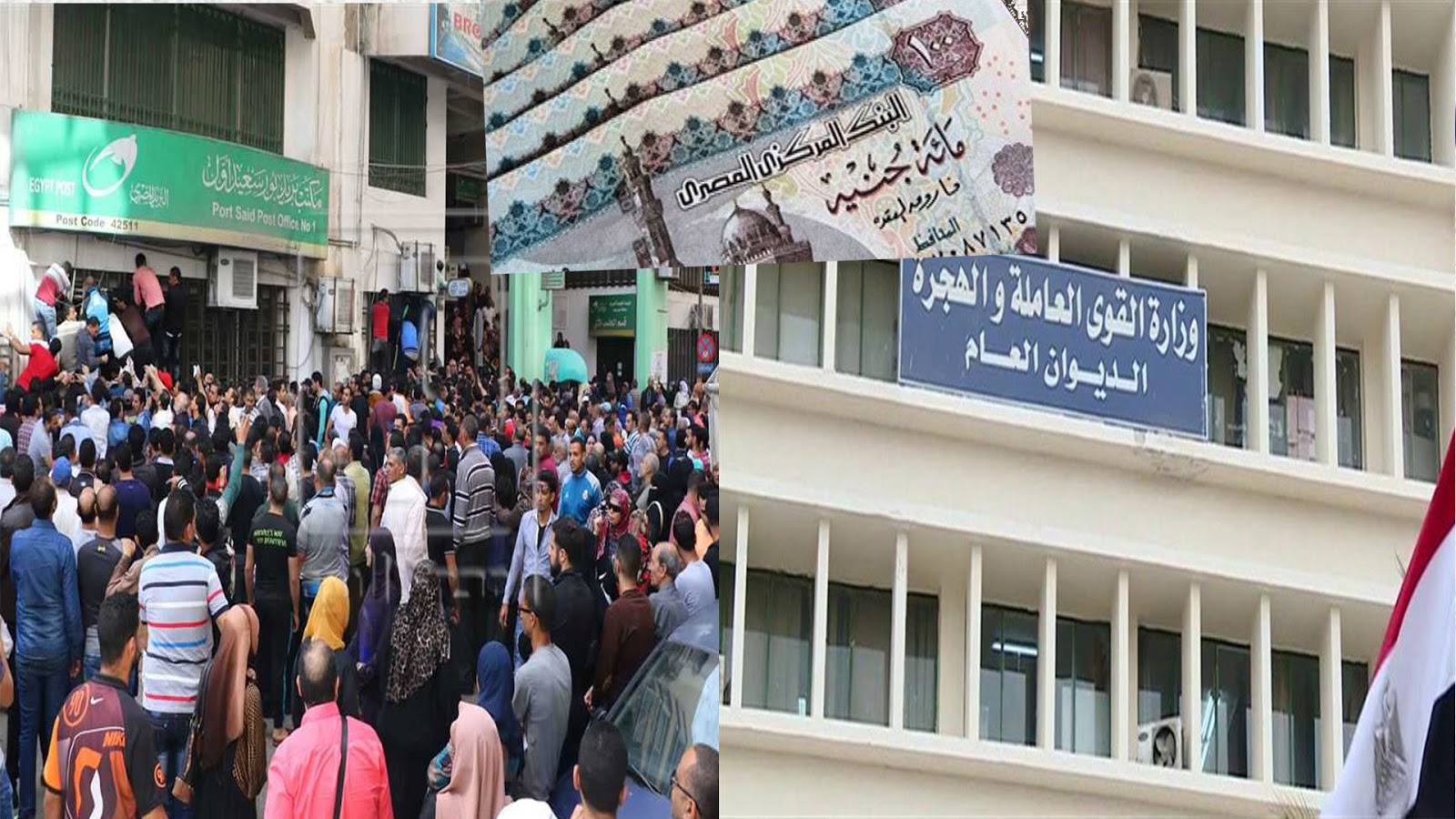 “للعمالة الغير منتظمة  ” منحة ال ١٠٠٠ جنية لعام 2024 وخطوات التسجيل بها
