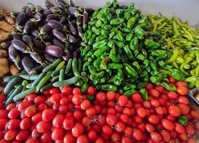 ” بكام كيلو الطماطم “..اسعار الخضروات والفاكهة اليوم الخميس 30 مايو 2024