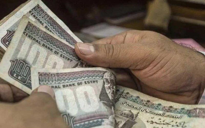 “اعرف دلوقتى” موعد صرف معاشات شهر يونيو 2024 ونسبة الزيادة من خلال هيئة التأمين الاجتماعي nosi.gov.eg
