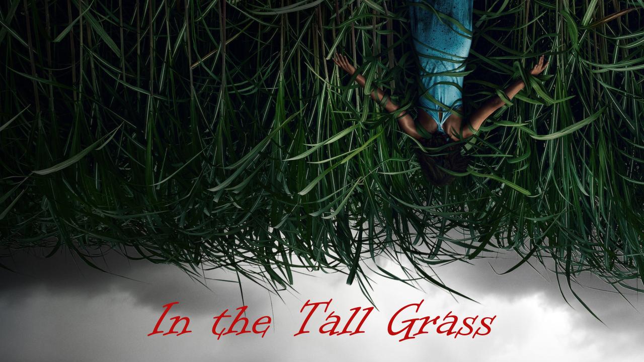 ” اتفرج الان على افضل الافلام والمسلسلات” ماي سيما in the tall grasses وخطوات الدخول على موقع ماي سيما
