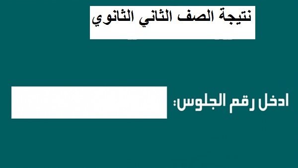 ” رابط التسجيل” نتيجة تانية ثانوي 2024 بالاسم ورقم الجلوس عبر eduserv.cairo.gov.eg
