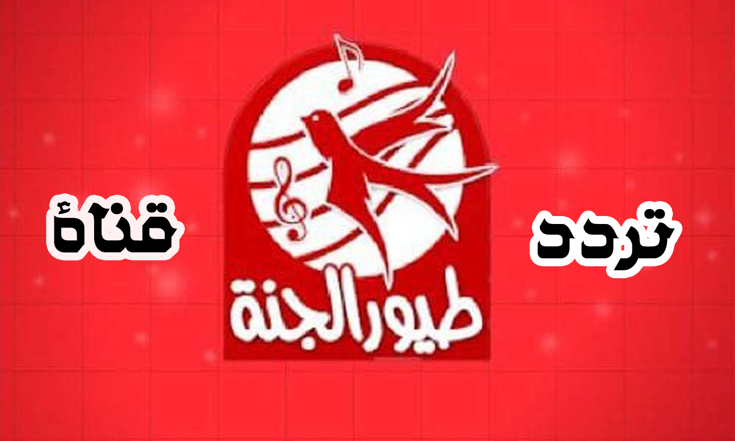 “متعي أطفالك” تردد قناة طيور الجنة الجديد 2024 على القمر الصناعي نايل سات وعرب سات وخطوات تحديثها