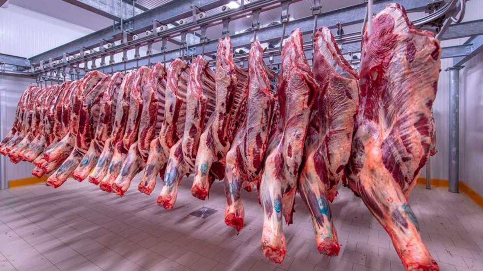 اسعار اللحوم اليوم الأحد 26 مايو 2024 في وزارة التموين و في منافذ وزارة الزراعة