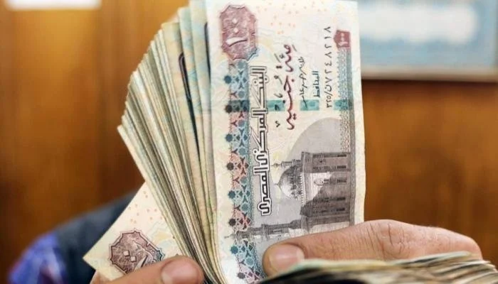 بشري خير للجميع .. الاستعلام عن زيادة المعاشات لشهر يونيو 2024 بالرقم القومى من خلال الموقع الإلكتروني لهيئة التأمينات الاجتماعية nosi.gov.eg