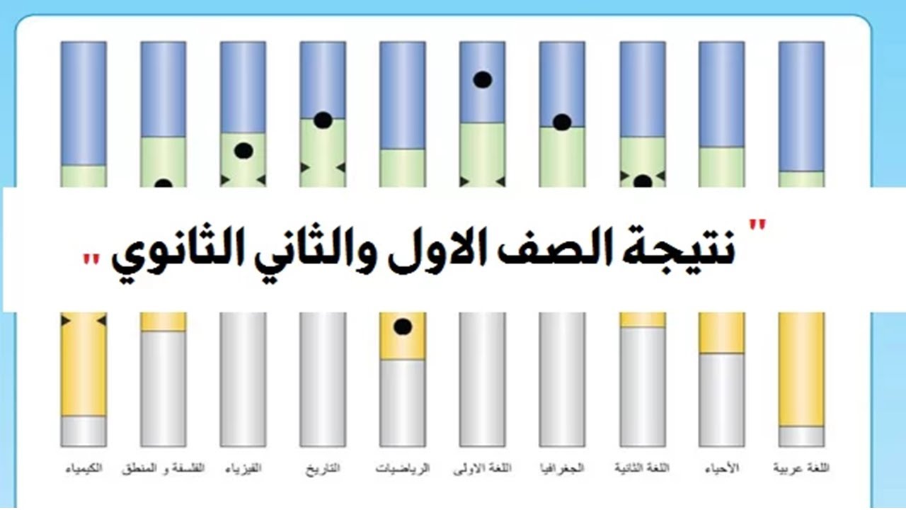 احصل على نتيجة الصف الثاني الثانوي 2024 بالاسم ورقم الجلوس عبر موقع الوزارة
