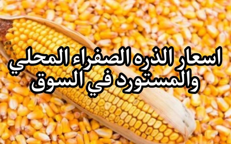 “رفيعة وعريضة” سعر طن الذرة الصفراء اليوم الخميس 30 مايو 2024