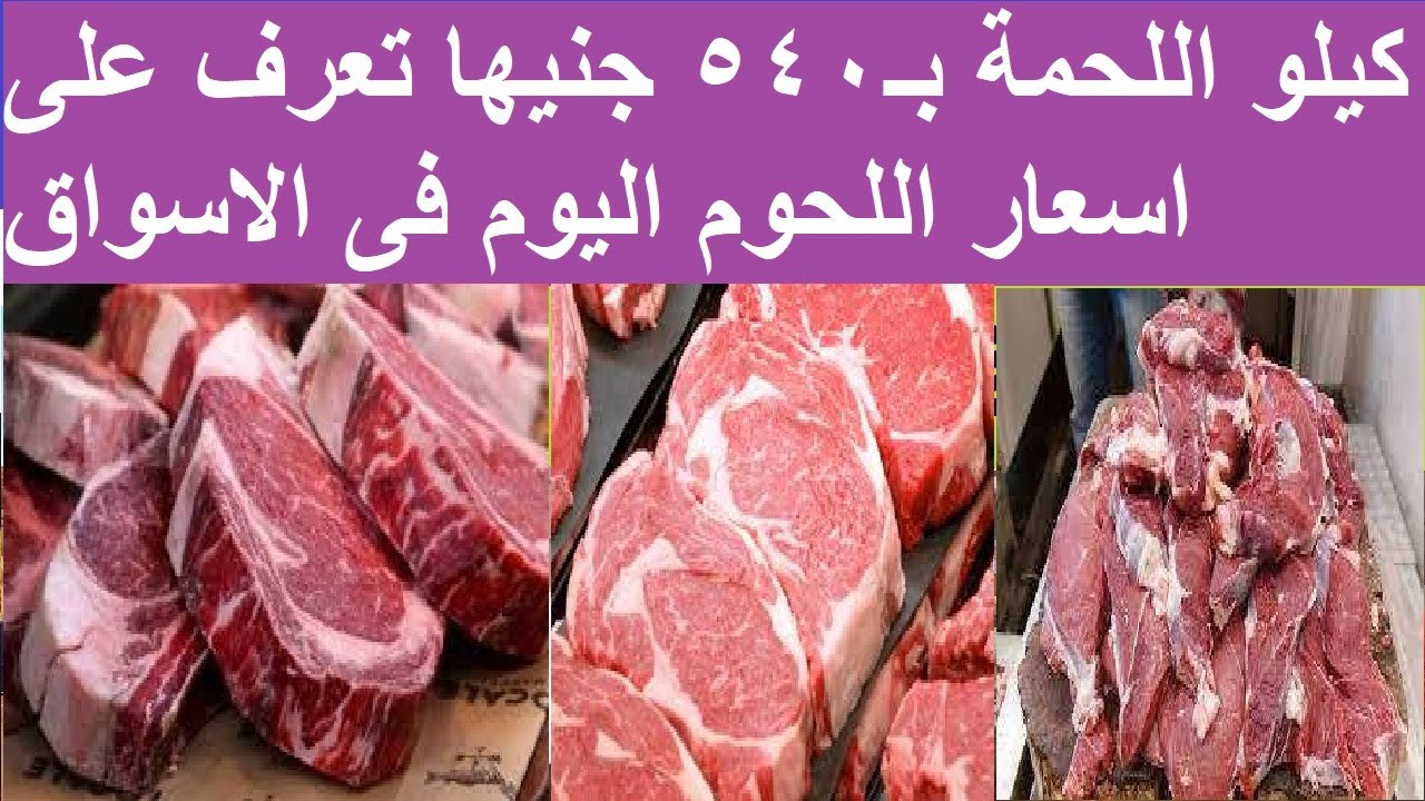 ” الضاني والجملي ” اسعار اللحوم اليوم الجمعة 24 مايو 2024 للمستهلك