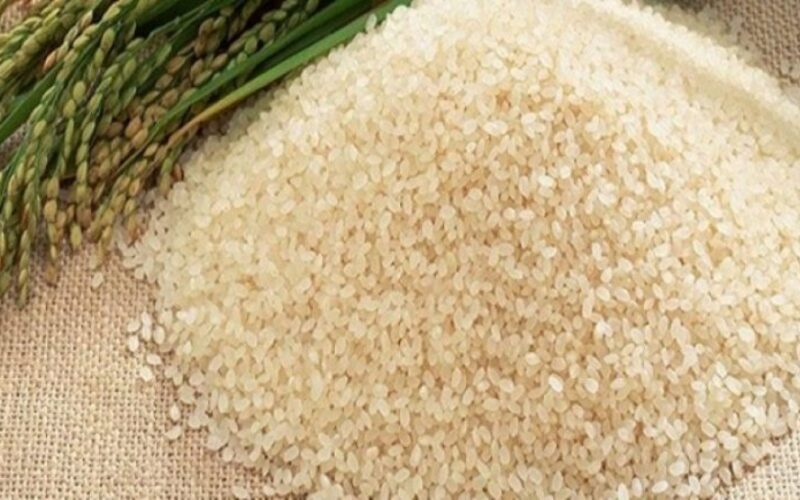 وصل كام ؟ سعر طن الارز الشعير اليوم الأثنين 27 مايو 2024 للمستهلك فى المتاجر والأسواق