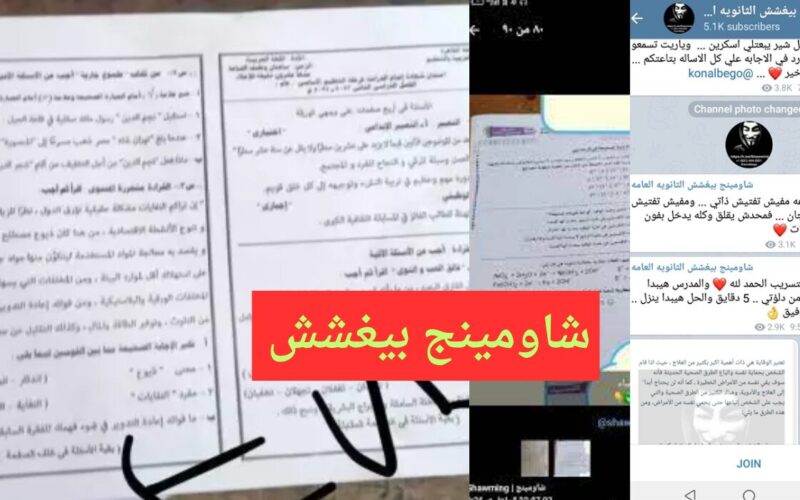 لينك جروب شاومينج تليجرام امتحانات الدبلومات الفنية 2024 واشاعات عن وجود تعديلات في الشهادة الاعدادية
