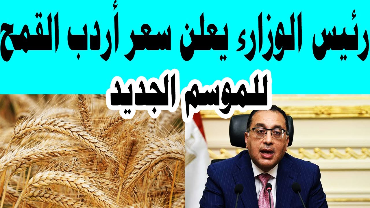 بكام الأردب ؟ .. سعر طن القمح اليوم الثلاثاء 21 مايو 2024 للمستهلك
