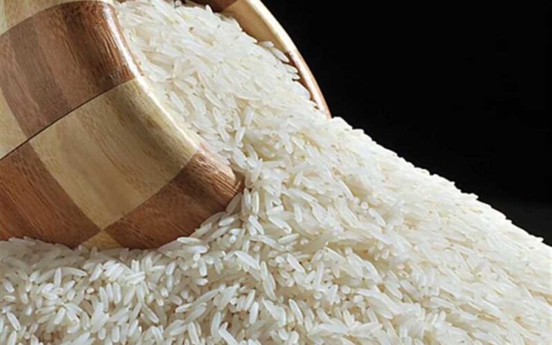 الاردب وصل كام النهارده.. سعر طن الأرز الشعير اليوم فى الأسواق المصرية السبت 22 يونيو 2024