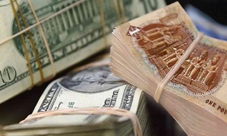 “الامريكى بكام” تعرف على سعر الدولار اليوم مقابل الجنيه المصري فى البنوك المصرية