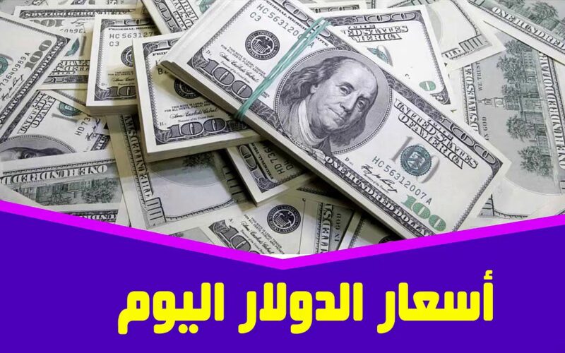 ” الورقة الخضرا بكام” سعر الدولار اليوم الاربعاء 5 يونيو 2024 في البنوك