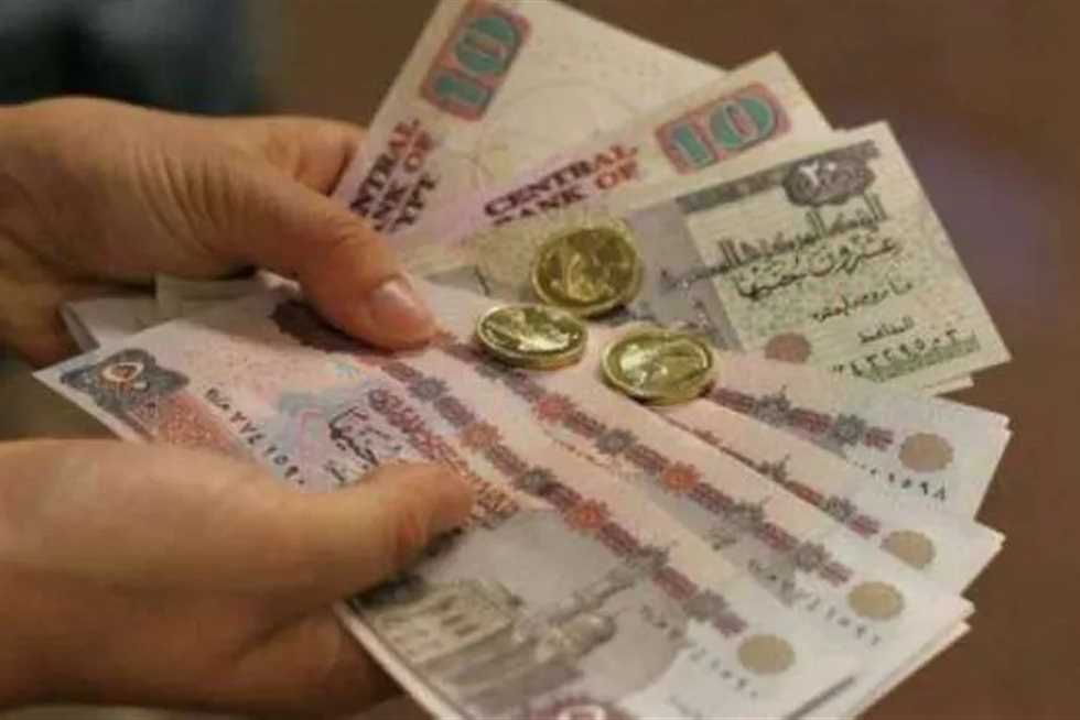 “خـبـر سـعـيـد” رابط الاستعلام عن زيادة المعاشات بالاسم 2024 عبر nosi.gov.eg