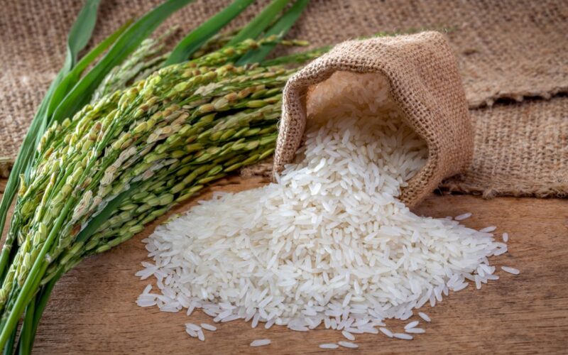 “رفيع الحبة ب 23 الف” سعر طن الأرز الشعير اليوم الأثنين 3 يونيو 2024 في الأسواق المحلية