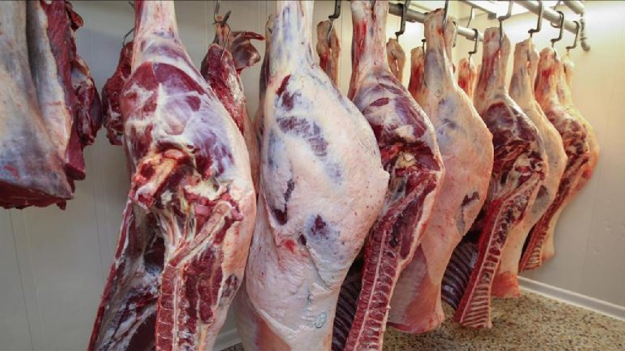 ‏‎”الكيلو بكام” اسعار اللحوم الضاني والبقري اليوم الاربعاء 12 يونيو 2024 فى الأسواق المصرية