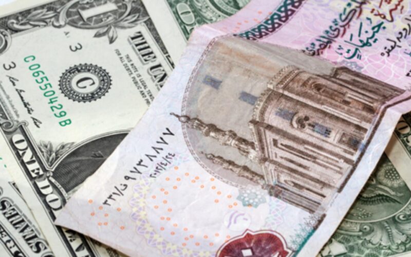 سعر الدولار مقابل الجنيه المصري اليوم الثلاثاء 18 يونيو 2024 في السوق السوداء وفي البنك المركزي المصرى
