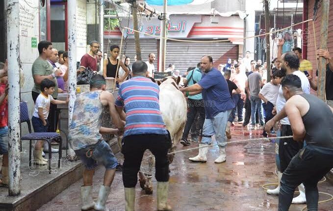 “الجزارين بيهزروا السنادى” أسعار ذبح الأضاحي وارتفاع تكلفة الجزارين واداوت الذبح وارتفاع سعر ذبح الاضحية مع غلاء المعيشة