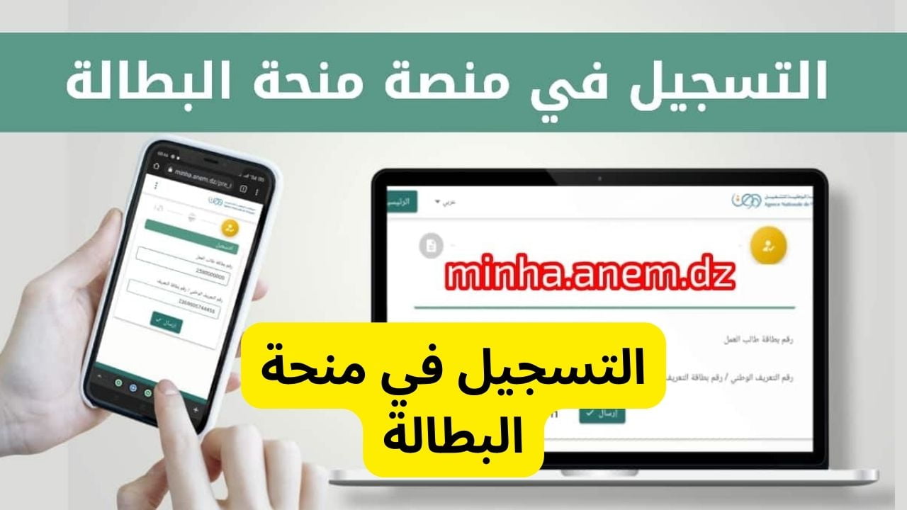 من هنا….رابط تجديد منحة البطالة في الجزائر 2024 والشروط المطلوبة