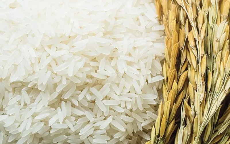بـقيـت بكـام ياأبيـض؟.. سعر طن الارز الشعير اليوم الجمعة 14 يونيو 2024 فى الأسواق المصرية للمستهلك