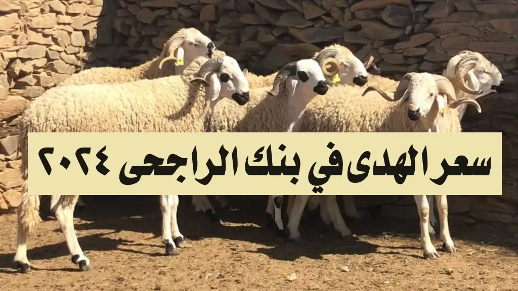 “أضحية الجرحى”.. كم يبلغ سعر الهدي في بنك الراجحي ؟ وكيفية شراء الهدى