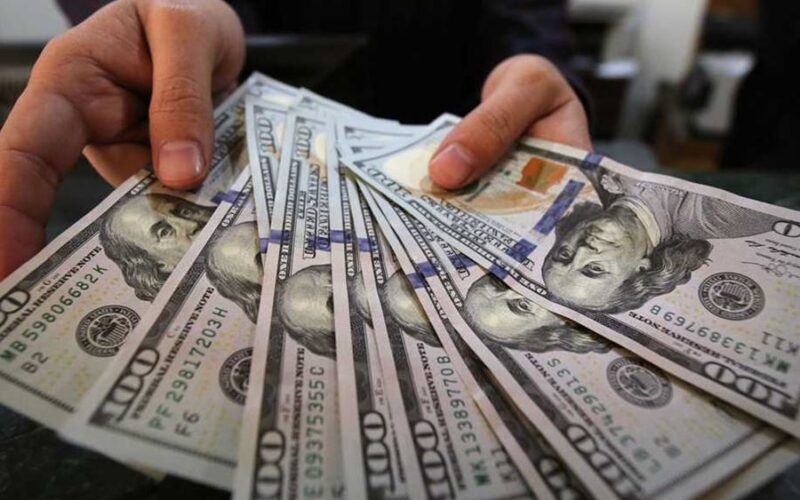 سعر الدولار اليوم مقابل الجنيه المصري فى السوق السوداء والبنك المركزى الأحد 2 يونيو 2024