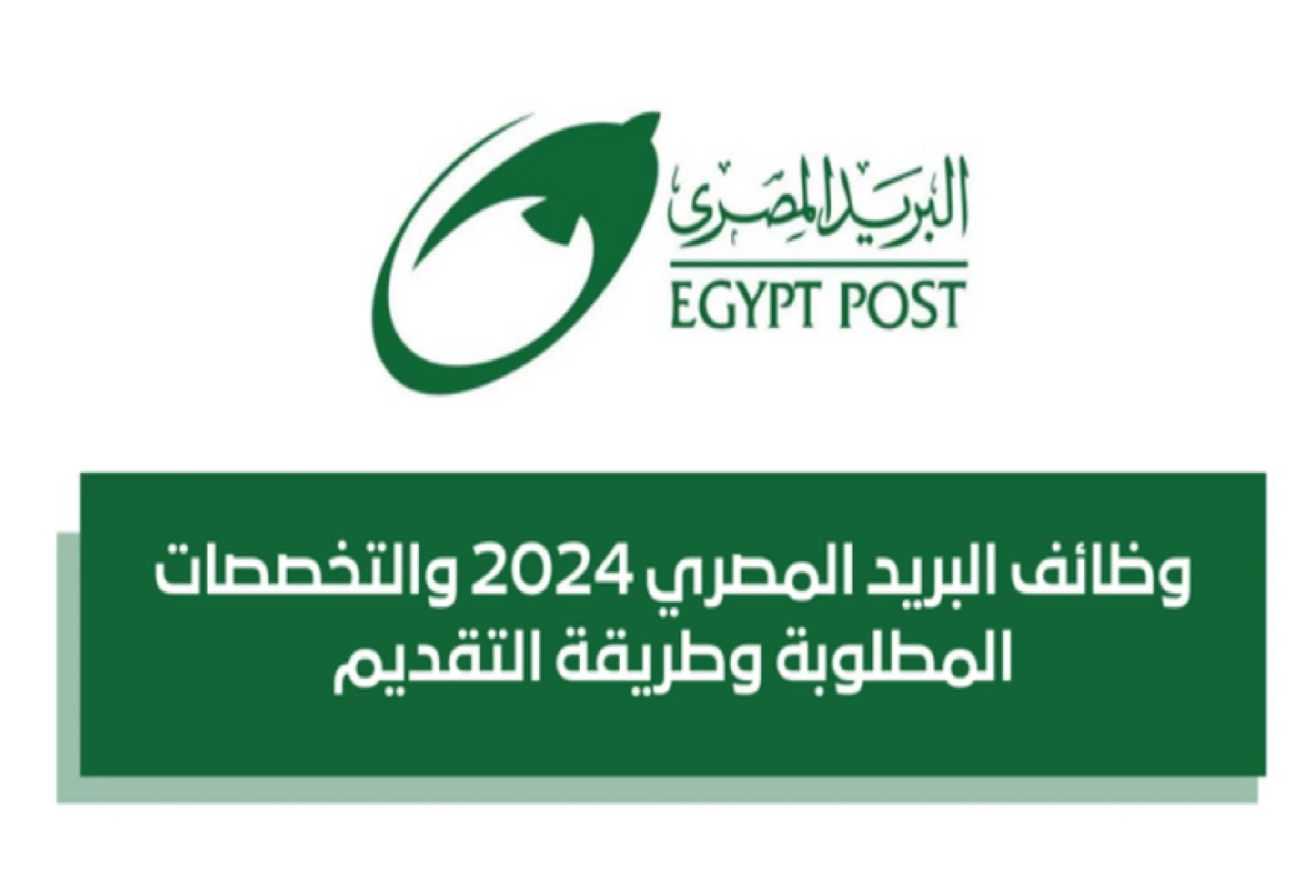 إعرف تفاصيل.. وظائف البريد المصري عبر بوابة الوظائف الحكومية jobs.caoa.gov.eg