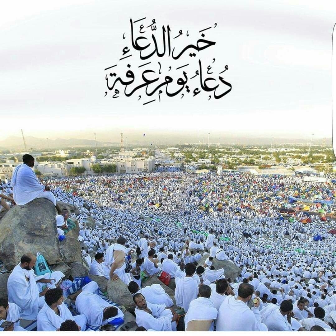 “أحب الايام الي الله” فضل الصيام وأحب الأعمال في يوم عرفة 1445 وكيفية استعداد غير الحاج لصيام هذا اليوم