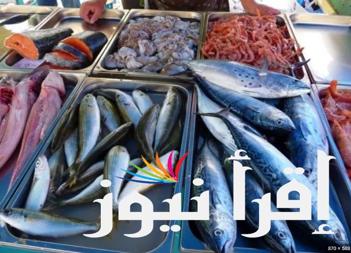 سعر السمك اليوم 15 أغسطس 2024 في سوق العبور