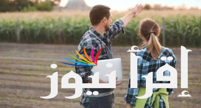 سحب لقب مهندس زراعي 2024 و حقيقة قرار نقيب الزراعيين