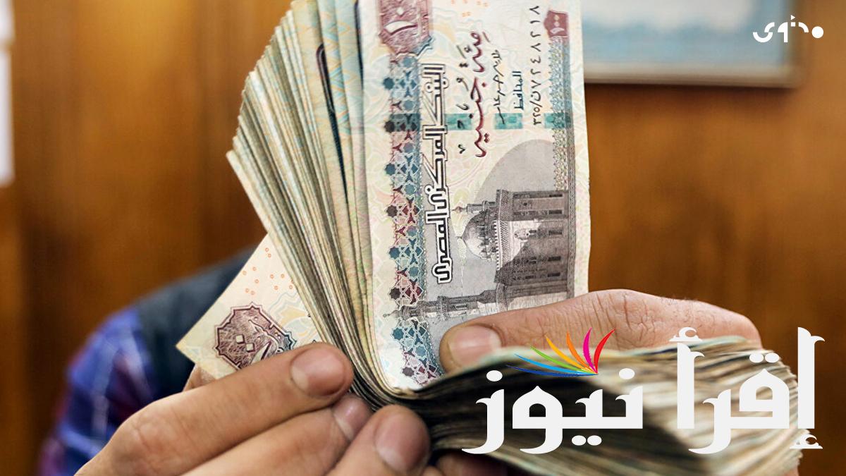 استثمر فلوسك في شهادة .. شهادات البنك الأهلي الجديدة 2024 وافضل عائد متواجد بالبنوك