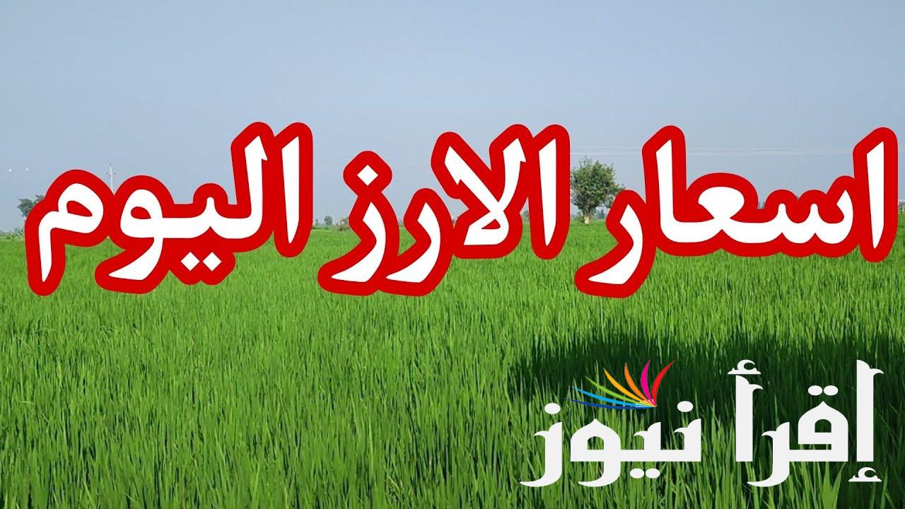 الطن وصل لـ كام ! سعر طن الارز الشعير اليوم الاثنين 19 اغسطس 2024 بالاسواق المصرية