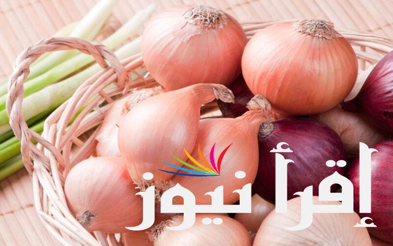 ” الكيلو بكام ” سعر البصل اليوم 18 أغسطس 2024 في سوق العبور