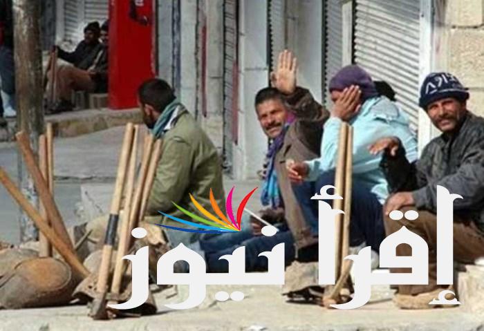 1000ج .. رابط تسجيل منحة العمالة الغير منتظمة 2024 عبر موقع وزارة القوي العاملة