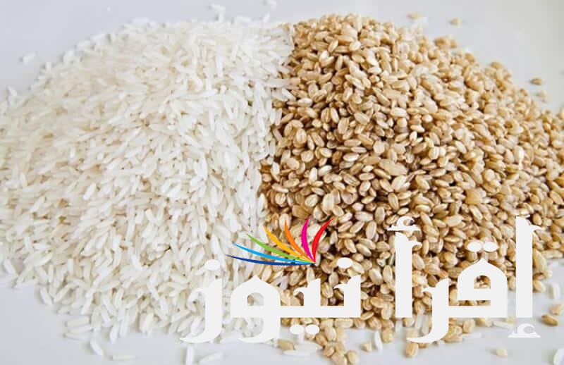 سعر طن الارز الشعير اليوم الاحد 18 اغسطس 2024 في جميع الاسواق والهايبر ماركت