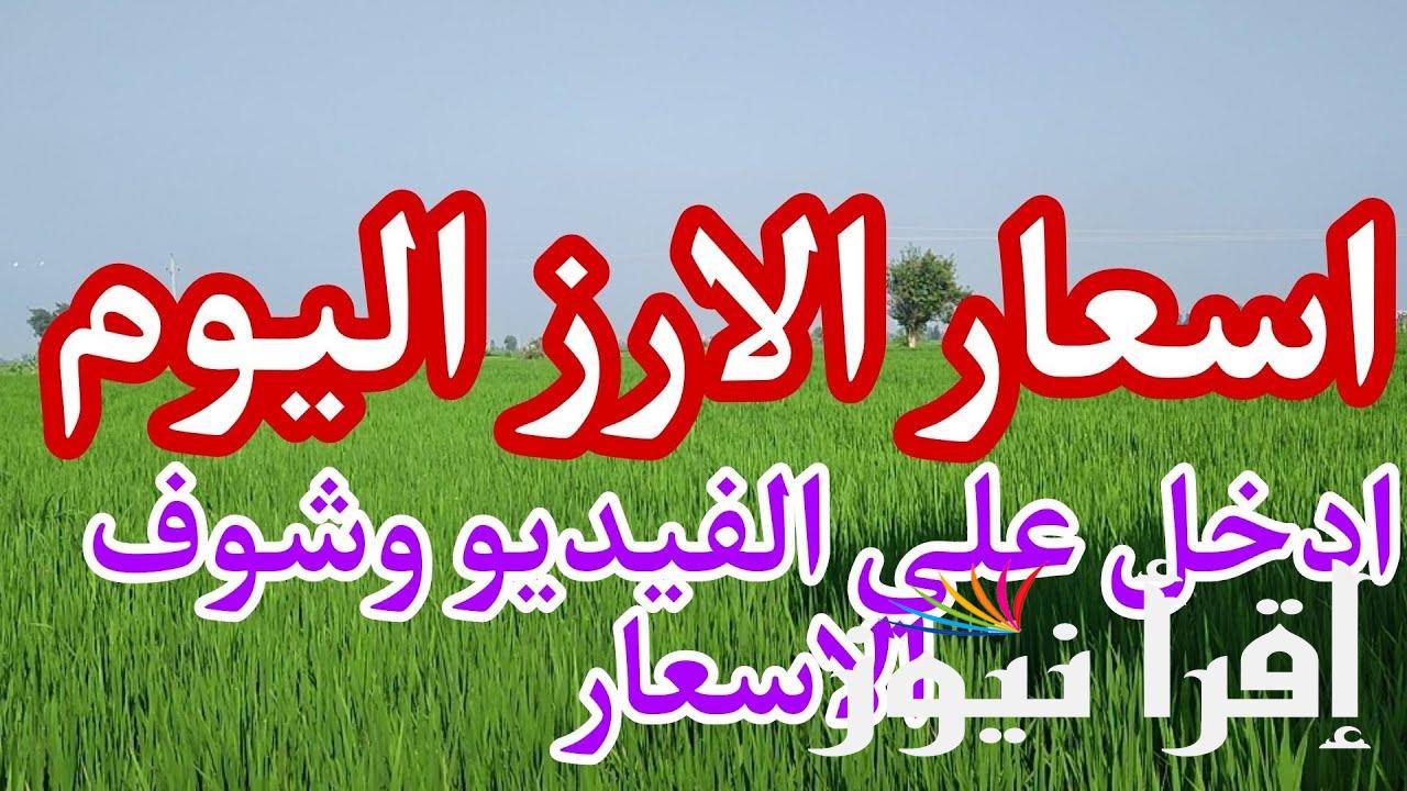 ” الطن وصل كام ” سعر طن الأرز الشعير اليوم السبت 17 اغسطس 2024 للمستهلك في الاسواق