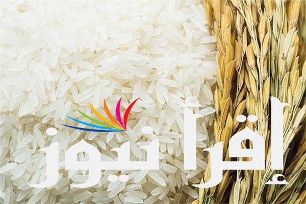 الطن بكام ؟ .. سعر طن الأرز الشعير اليوم الخميس 15 أغسطس 2024 في جميع الاسواق التجارية