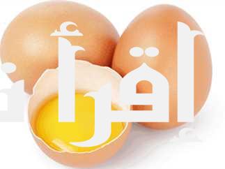 البيضة بخمسه جنيه سعر كرتونة البيض اليوم الاحد 18 أغسطس 2024