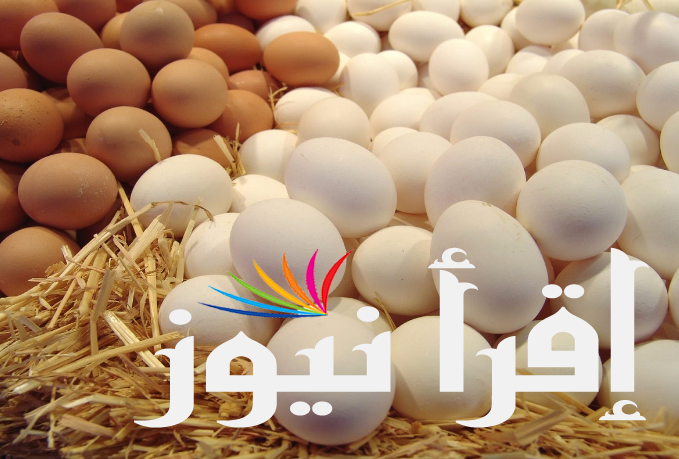 سعر كرتونة البيض اليوم السبت 17 أغسطس 2024 للمستهلك والأسواق المحلية