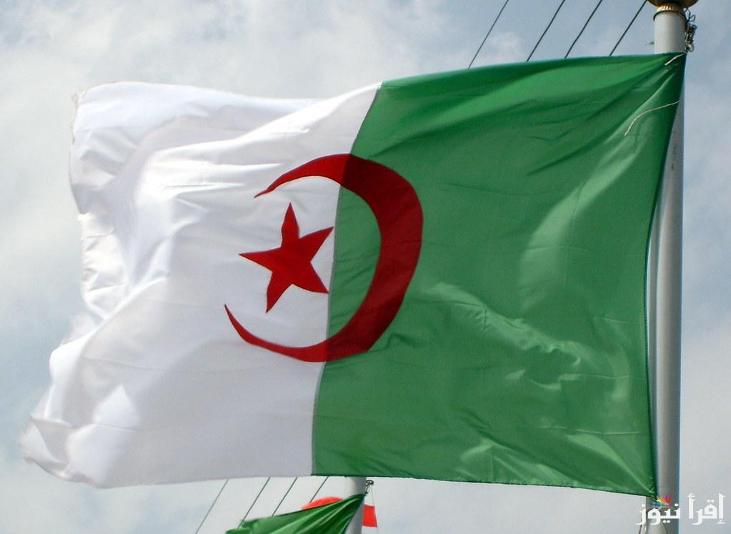 خطوات التسجيل في منحة البطالة بالجزائر 2024 وأبرز الشروط اللازمة للحصول على المنحة  anem.dz