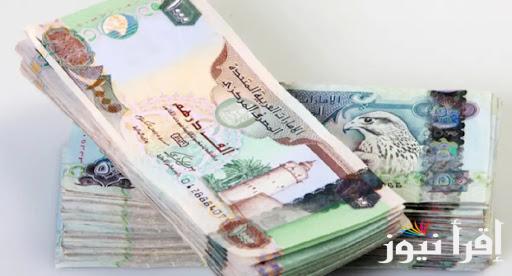 “تذبذب الاماراتي”.. سعر الدرهم مقابل الجنيه المصري الأثنين 21 أكتوبر 2024 في البنوك والسوق السوداء