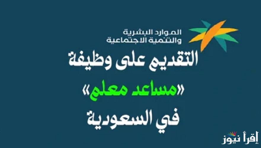 لخريجي الثانوية العامة .. كم راتب وظيفة مساعد معلم في السعودية ؟ تفاصيل وظائف المعلمين الجُدد حسب وزارة الموارد البشرية 