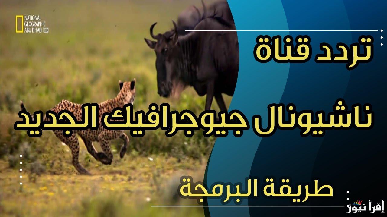 ” الطبيعة الخلابة” تردد قناة ناشيونال جيوغرافيك National Geographic 2024 المفتوحة  علي نايل سات بجودة مميزة HD