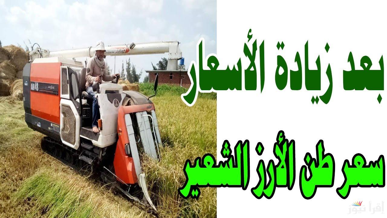 البلدي طاير بسرعة الصاروخ.. سعر طن الأرز الشعير اليوم الخميس 16 يناير 2025 في مصر 