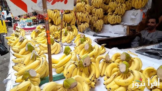 ‎الموز وصل 30 جنية .. أسعار الفاكهة اليوم الاثنين 13 يناير 2025 في كافة الأسواق المصرية