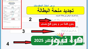 سجل حالاً| رابط منحة البطالة بالجزائر 2025 عبر موقع الوكالة الوطنية للتشغيل minha.anem.dz