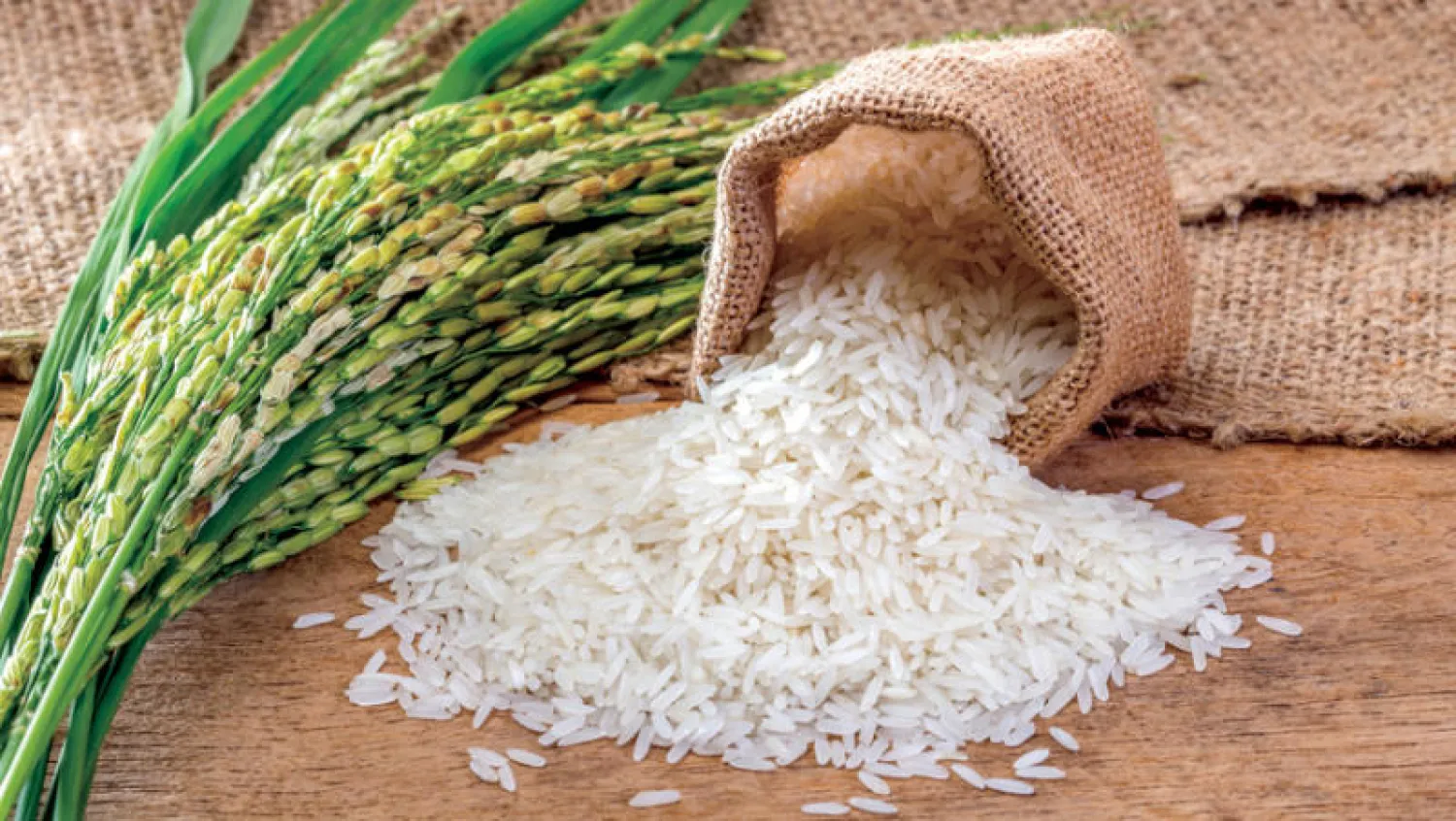 “الحق اشتري قبل رمضان “سعر طن الأرز الشعير اليوم الثلاثاء 14 يناير 2025 والمعبأ يقترب من 40 جنيه 