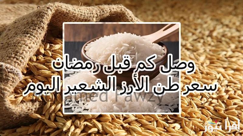 بكام حنشتري “عريض ورفيع الحبة” سعر طن الأرز الشعير اليوم الاحد 26 يناير 2025 في المضارب و الأسواق المصرية