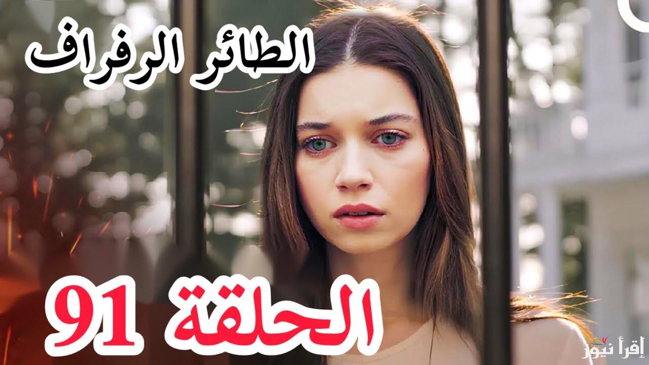 بجودة عالية تابع مسلسل طائر الرفراف الحلقة 92 الموسم الثالث والقنوات الناقلة 