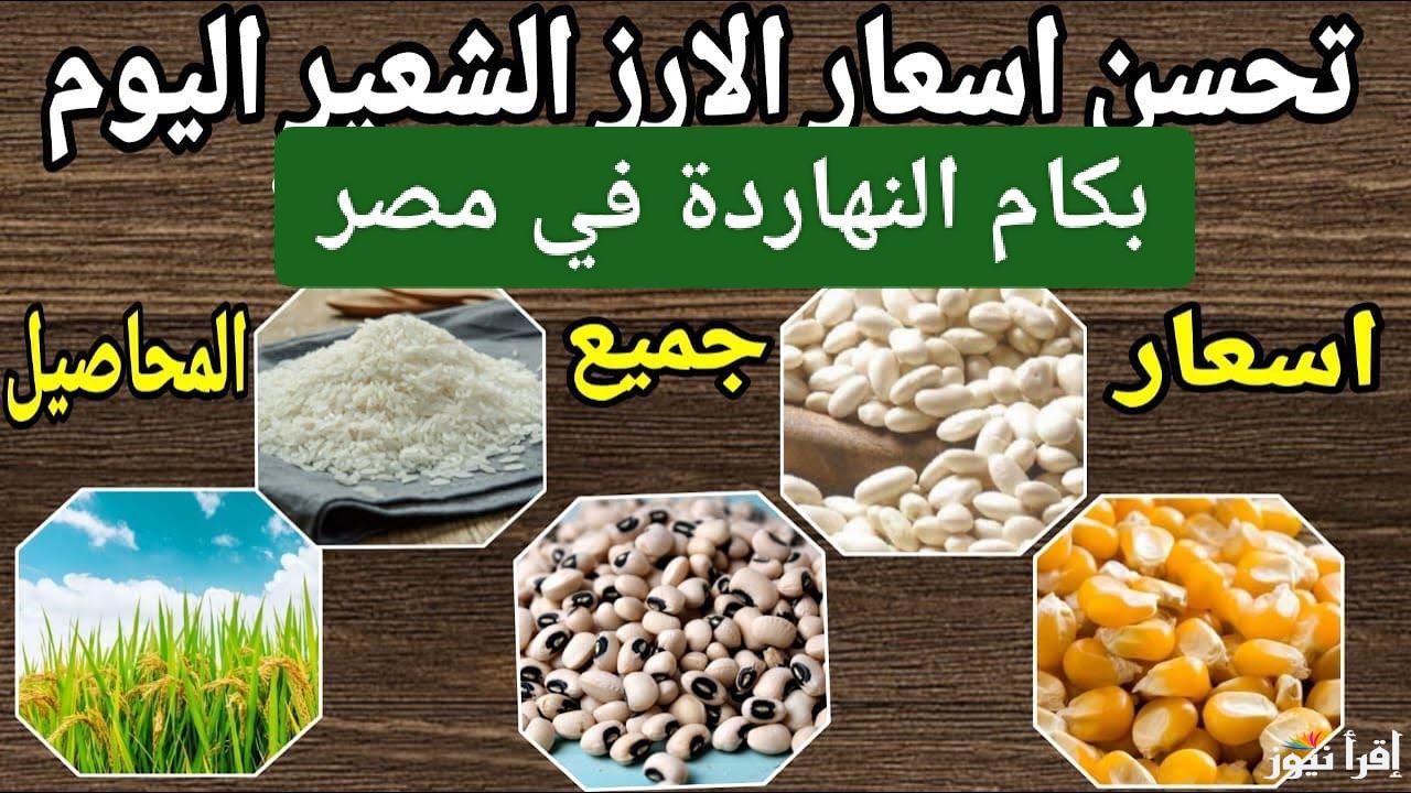 الأسعار مجنونة.. سعر طن الارز الشعير اليوم في مصر 2025 